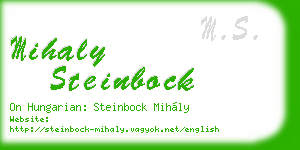mihaly steinbock business card
